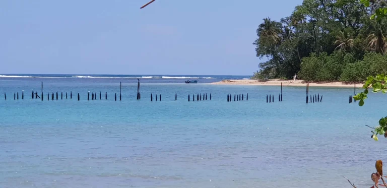20190408_114809