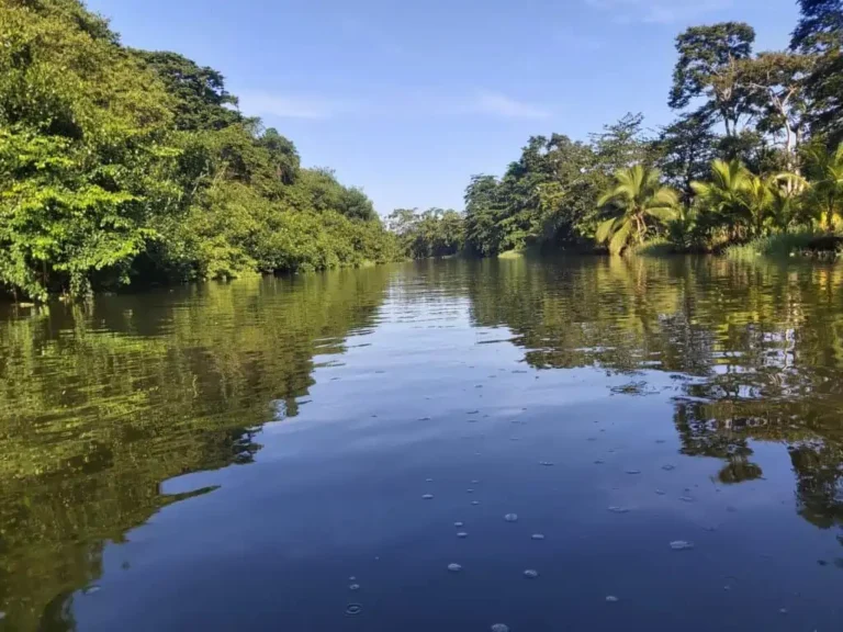 Tortuguero canals
