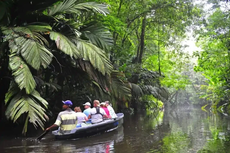 Costa_Rica_DSC9388_S_FAUTRE