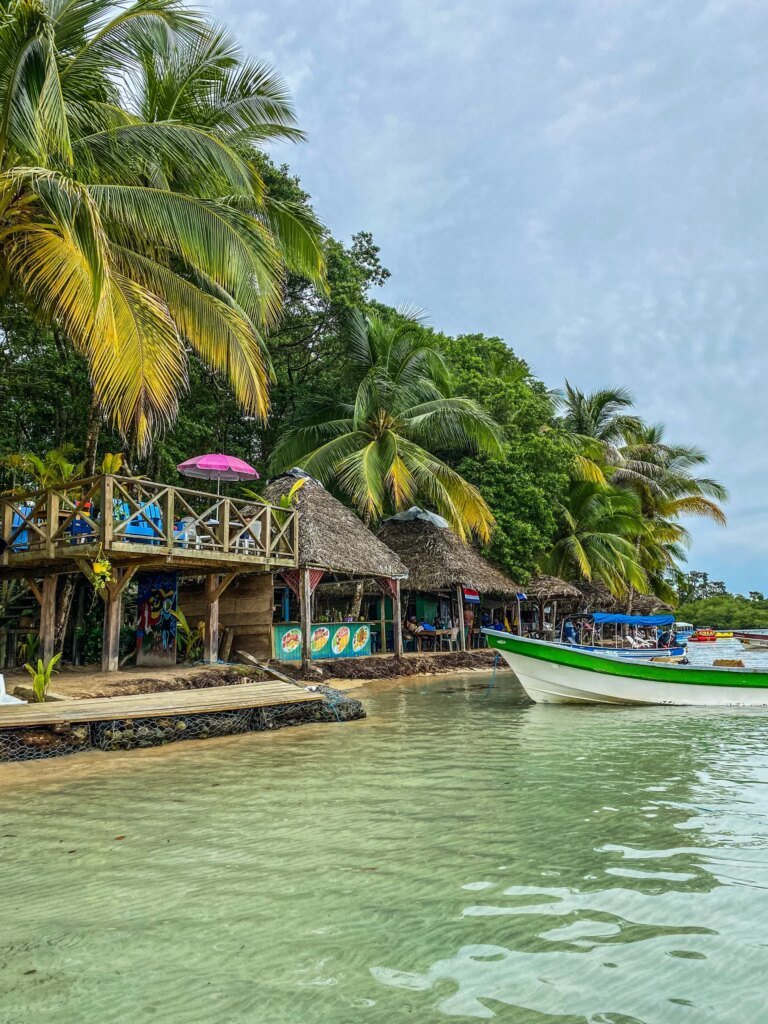 bocas-2-scaled.jpeg