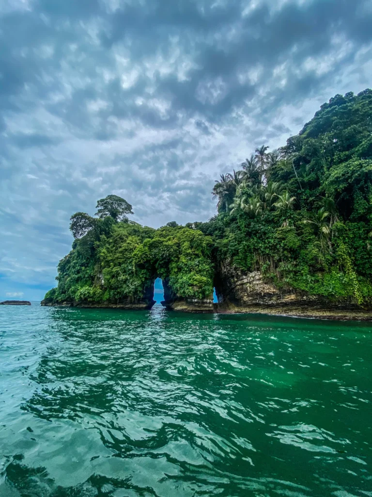 bocas-scaled.webp