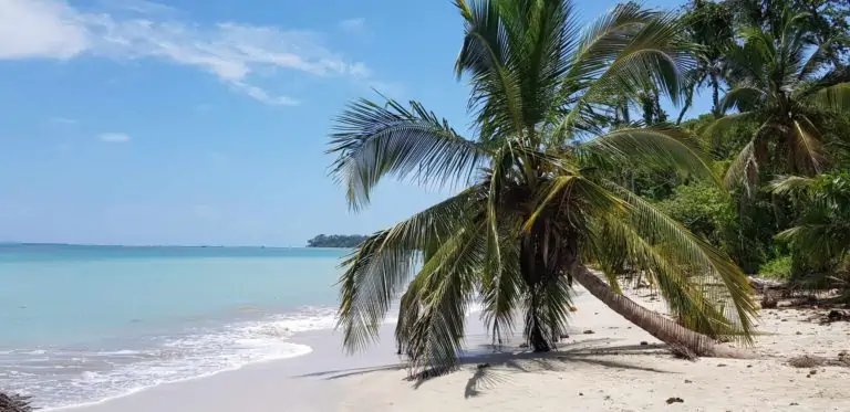 cahuita-national-park-40-scaled-1-768x373