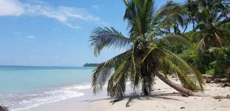 cahuita-national-park-40-scaled-1-768x373