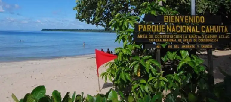 canal-cahuita1-768x341