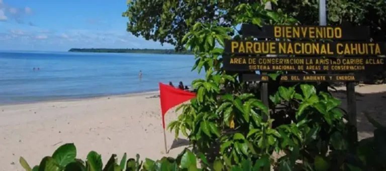 canal-cahuita1.jpg