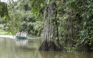 Tortuguero canal 2