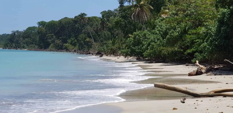 parque-nacional-cahuita-15-scaled-1.jpg