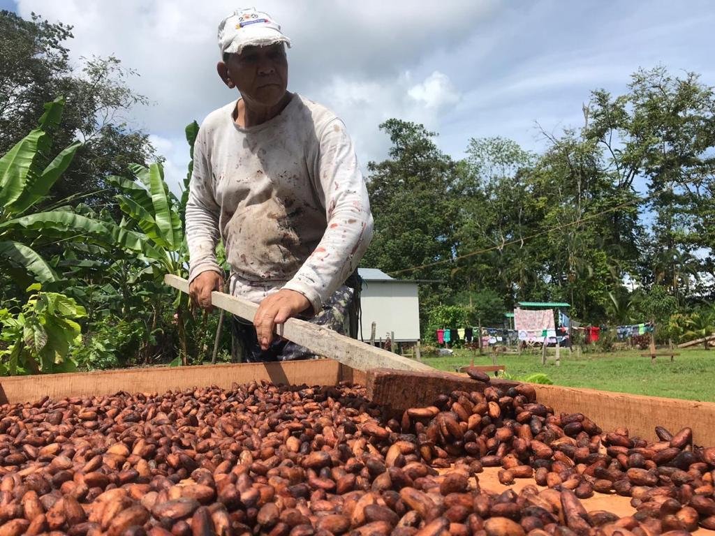 Chocolate tour